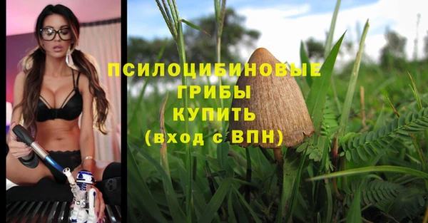 ПСИЛОЦИБИНОВЫЕ ГРИБЫ Армянск