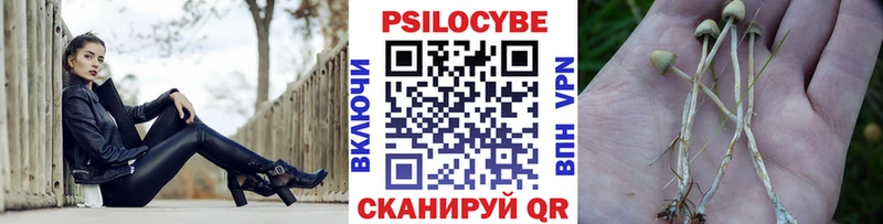 Псилоцибиновые грибы MAGIC MUSHROOMS  ссылка на мегу как войти  мориарти состав  Могоча 